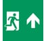 Пиктограмма Arlight EMGP-MARK-MA-UP-FLAG 1шт 064919 1