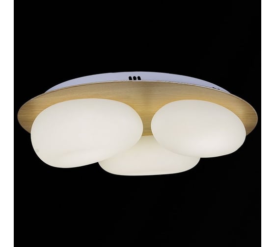 Потолочный светодиодный светильник ReLuce 10009-0.3-60W AEROLITE