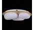 Потолочный светодиодный светильник ReLuce 10009-0.3-60W AEROLITE 4