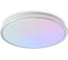 Потолочный светильник Freya Грис / Gris FR6246CL-L85W 1
