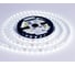 Светодиодная лента Ambrella Light 24В 5050 60Led 14.4Вт/м 6500K IP20 5м LED Strip 24V GS4003 1