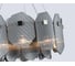 Подвесная люстра Ambrella Light High Light LH31201 5
