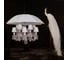 Подвесная люстра LOFT IT Marie 10556/12 White 7