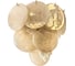 Бра LOFT IT Lolly 10492W Champagne 3