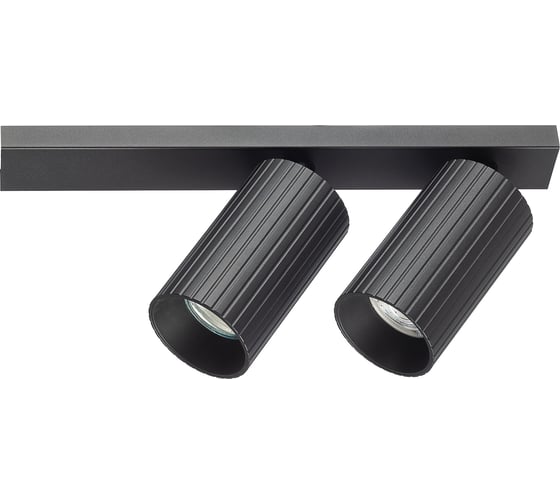 Спот поворотный двойной Citilux AXEL чёрный рифлёный CL512521R