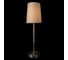 Настольная лампа LOFT IT Hilton 10527T Nickel 4