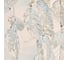 Потолочный светильник ESCADA 140021/5C E14*40W Chrome ES0000092 4