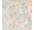Потолочный светильник ESCADA 140021/6C E14*40W Chrome ES0000093 4