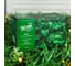Гирлянда LUAZON НИТЬ ECO IP44, на солнечной батарее, 5 м, 50 LED, 1.2 В, 2 режима, желтый/теплый белый 6253328 5