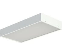 Светильник TECHNOLUX TL02 OL ECP EM 8215 (1240 лм, 4000 K, 15 Вт, IP40, авар.блок 1 час) 20128