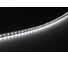 Светодиодная лента Сириус А 24В 2835(120LED) IP20 9,6Вт 6000К 5м SLS-24V-IP20-9,6W-2835-6K-5m 2