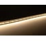 Светодиодная лента Сириус А 24В 2835(240LED) IP20 22Вт 4000К 5м SLS-24V-IP20-22W-2835-4K-5m 2