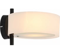 Бра Evoluce SL483.401.01