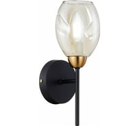 Бра Evoluce SLE155501-01