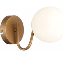 Бра Evoluce SLE220601-01