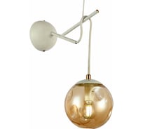 Настенный светильник Evoluce SLE110201-01