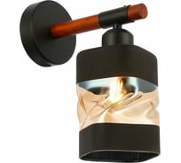 Настенный светильник Evoluce SLE114401-01