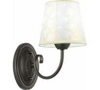 Настенный светильник Evoluce SLE120301-01