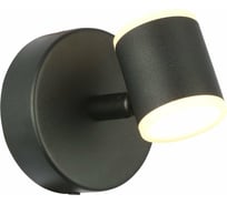 Настенный светильник ST luce SL1597.401.01