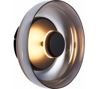 Настенный светильник ST luce SL6002.401.01