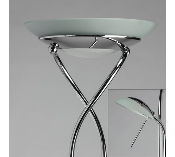 Напольный светильник ARTE LAMP A4399PN-2CC