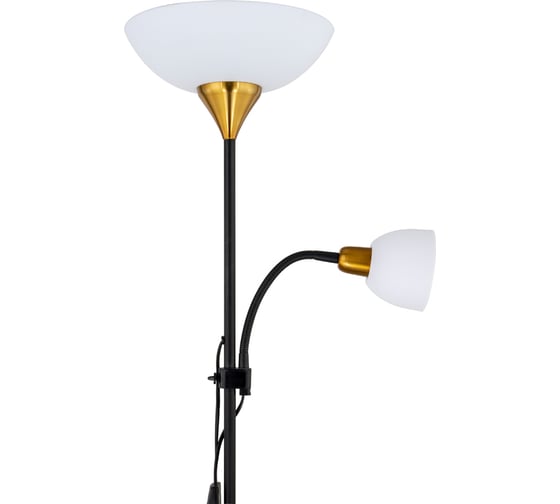 Напольный светильник ARTE LAMP A9569PN-2BK
