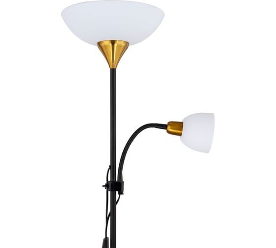 Напольный светильник ARTE LAMP A9569PN-2BK