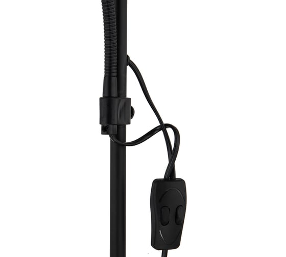 Напольный светильник ARTE LAMP A9569PN-2BK