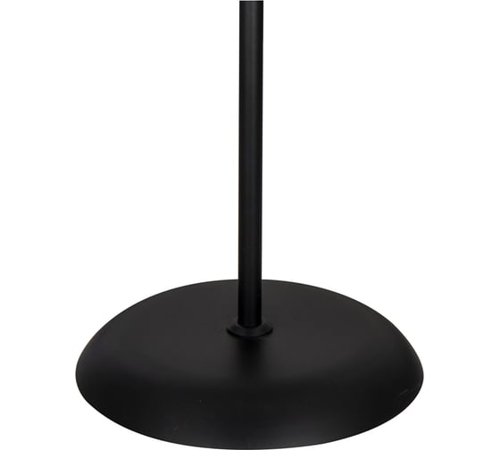 Напольный светильник ARTE LAMP A9569PN-2BK