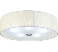 Потолочный светильник ST luce SL357.502.05