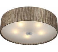 Потолочный светильник ST luce SL357.702.05