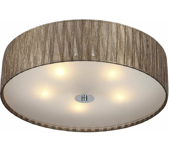 Потолочный светильник ST luce SL357.702.05