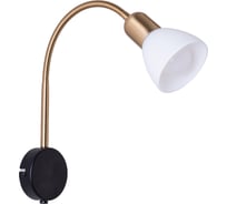 Настенный светильник ARTE LAMP A3116AP-1BK