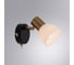 Настенный светильник ARTE LAMP A3117AP-1BK 4