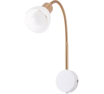 Настенный светильник ARTE LAMP A3116AP-1WH