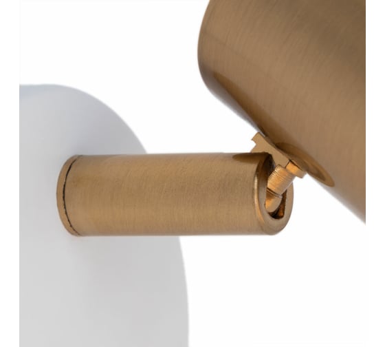 Настенный светильник ARTE LAMP A3117AP-1WH