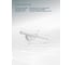 Настенный светильник ARTE LAMP A8025AP-1WH 3