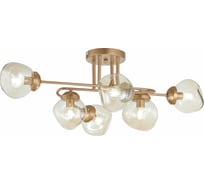 Потолочная люстра Evoluce SLE155702-06