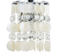 Настенный светильник ARTE LAMP A4041AP-2CC