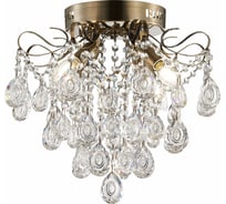 Потолочный светильник Evoluce SLE160102-04