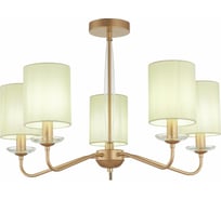 Потолочная люстра Evoluce SLE108002-05