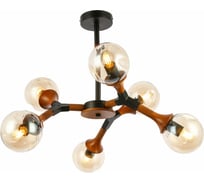 Потолочная люстра Evoluce SLE109402-06