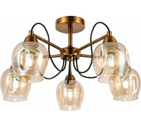 Потолочная люстра Evoluce SLE110002-05