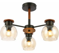 Потолочная люстра Evoluce SLE108102-03