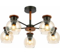 Потолочная люстра Evoluce SLE108102-05