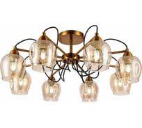 Потолочная люстра Evoluce SLE110002-08