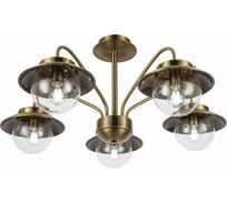 Потолочная люстра Evoluce SLE110102-05