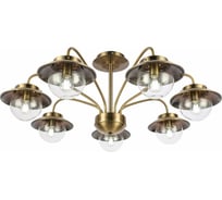 Потолочная люстра Evoluce SLE110102-07