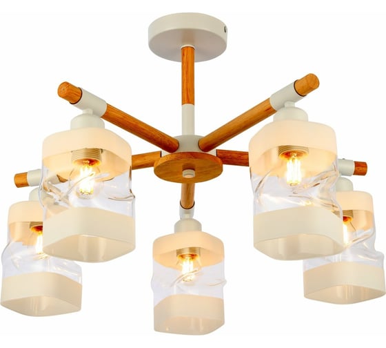 Потолочная люстра Evoluce SLE114502-05 1