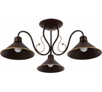 Потолочная люстра Evoluce SLE120402-03